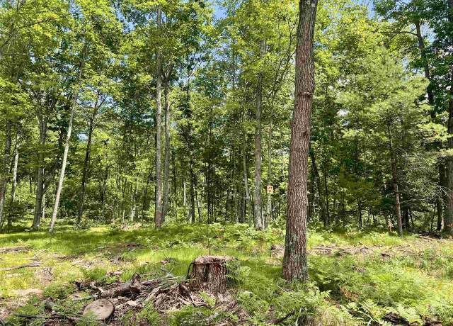 Property at Rhett Ln, Wausaukee, WI 54177