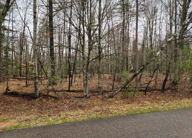 Property at Definn Rd, Mountain, WI 54149