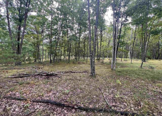 Property at Rhett Ln, Wausaukee, WI 54177