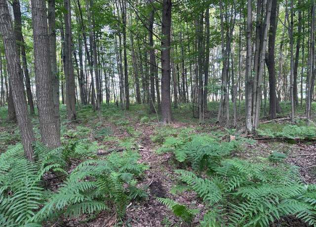 Property at Heise Rd, Suring, WI 54174