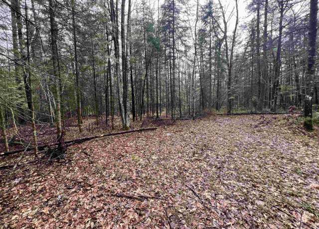 Property at Poplar Rd, Wausaukee, WI 54177