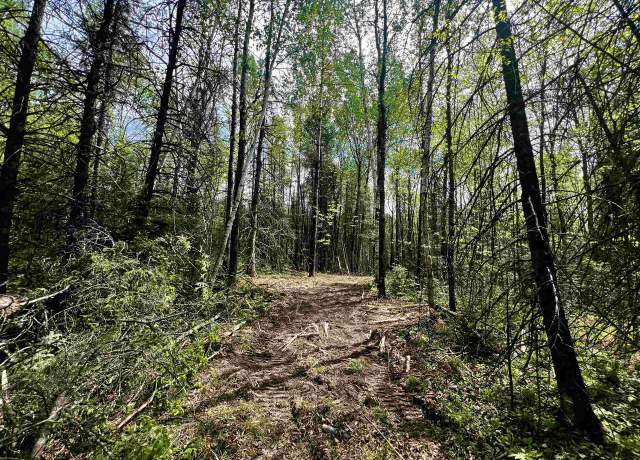 Property at Bergeson Ln, Amberg, WI 54102