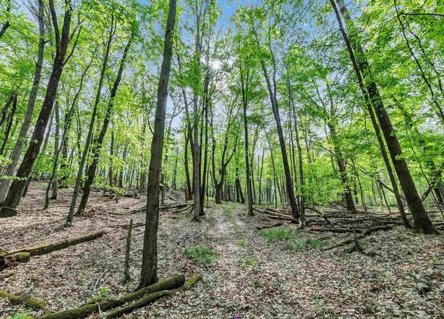 Property at State Rd 73, Wautoma, WI 54982