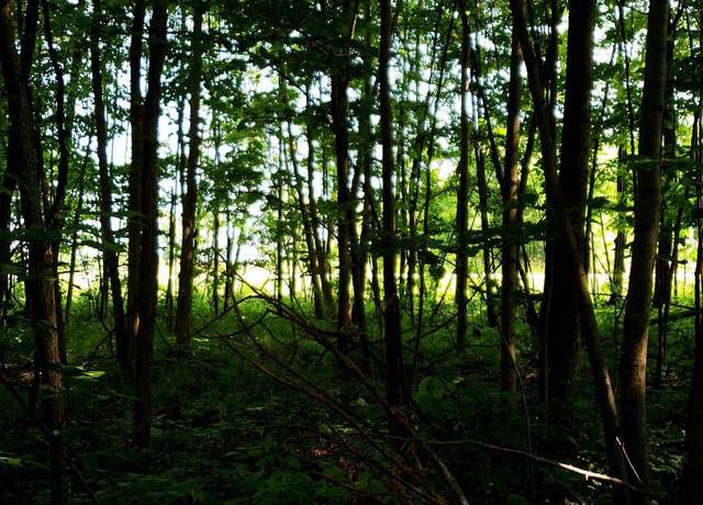 Property at Hwy 114, Sherwood, WI 54169