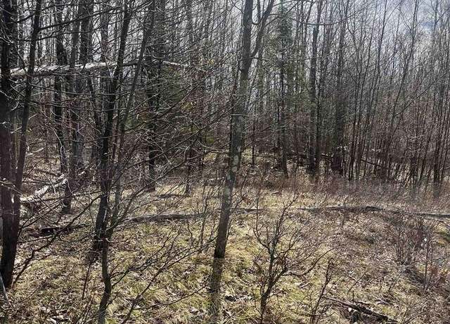 Property at Nature Trail Rd, Townsend, WI 54175