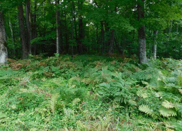 Property at W Shay Lake Ln, Pound, WI 54161