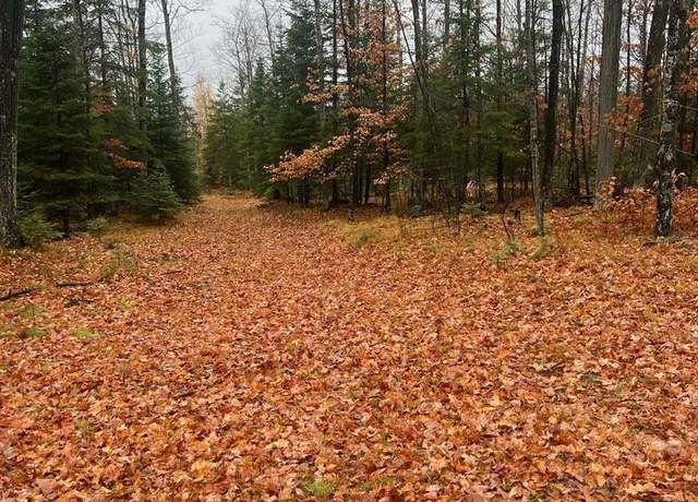 Property at N7593 U-3 Ln, Stephenson, MI 49887