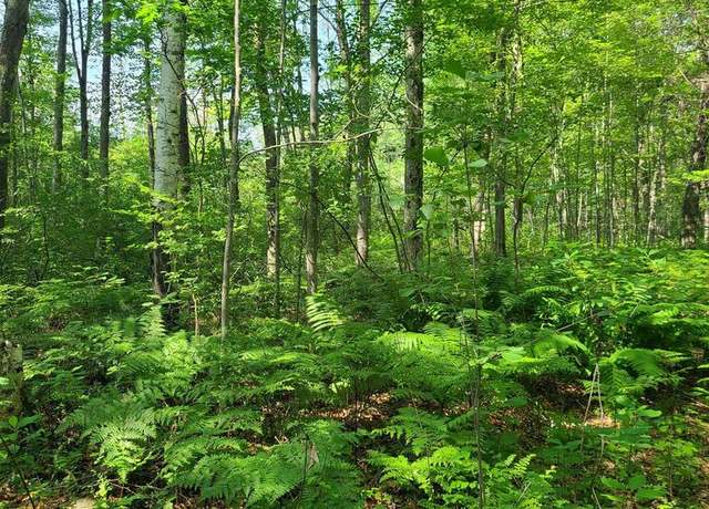 Property at Cth Y, Peshtigo, WI 54157
