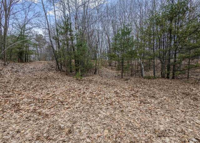 Property at N White Potato Lake Rd, Pound, WI 54161