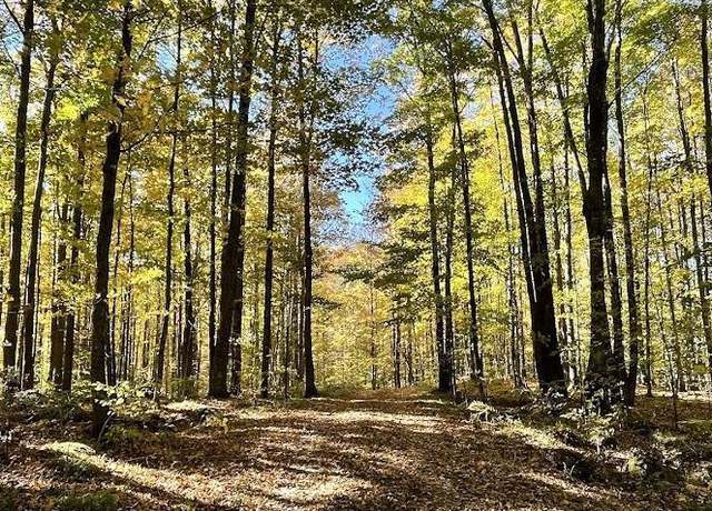 Property at Old J Rd, Athelstane, WI 54104