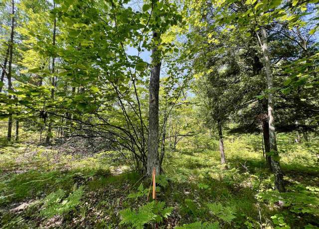 Property at Kafka Rd, Wausaukee, WI 54157