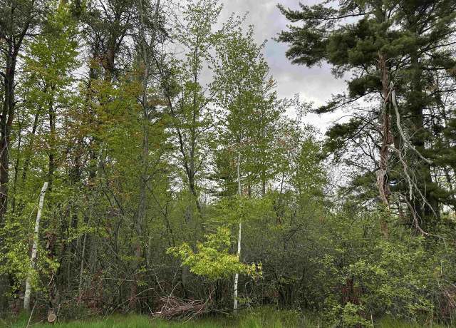 Property at Mcgraw St, Peshtigo, WI 54157