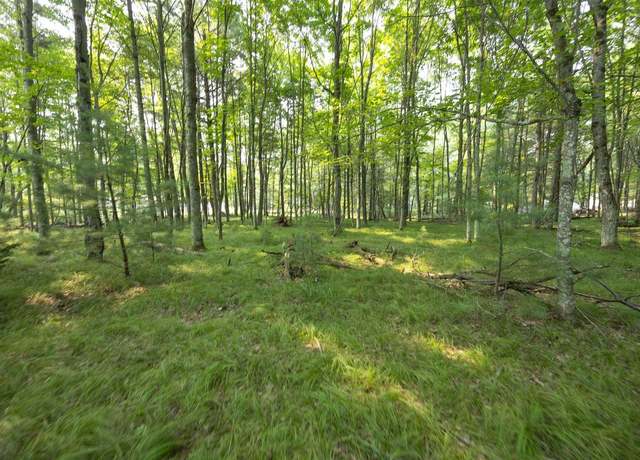 Property at Gilkey Lake Rd, Crivitz, WI 54114