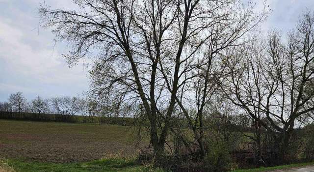 Photo of John St, Mayville, WI 53050