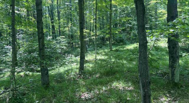 Photo of W15799 Fawn Acres Rd, Fence, WI 54125