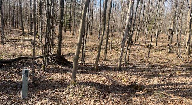 Photo of Bartz Bay Rd, Pickerel, WI 54465