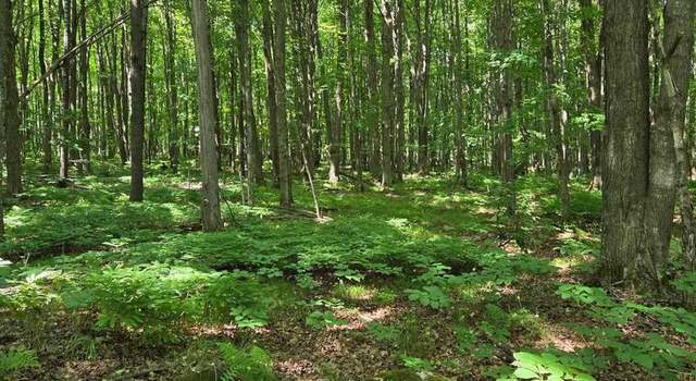 Photo of 10555 Easement Rd, Long Lake, WI 54542