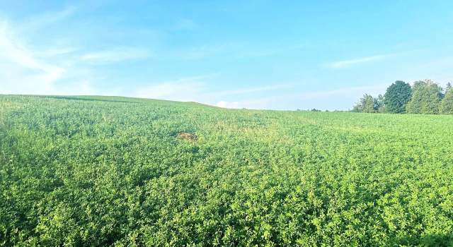 Photo of Co Rd 358, Daggett, MI 49821