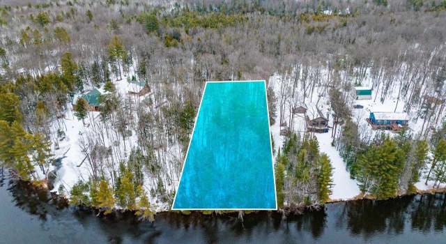 Photo of Miscauno Island Ln, Daggett, MI 49821