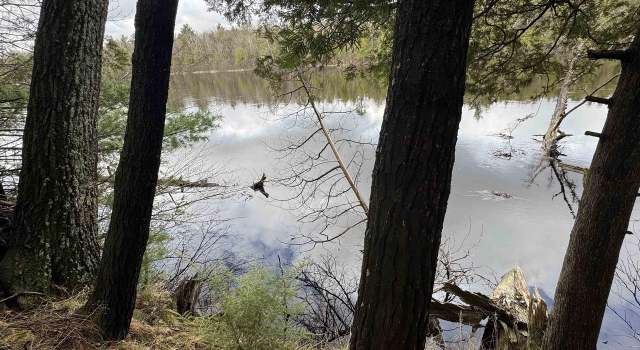 Photo of River Dr, Shawano, WI 54166