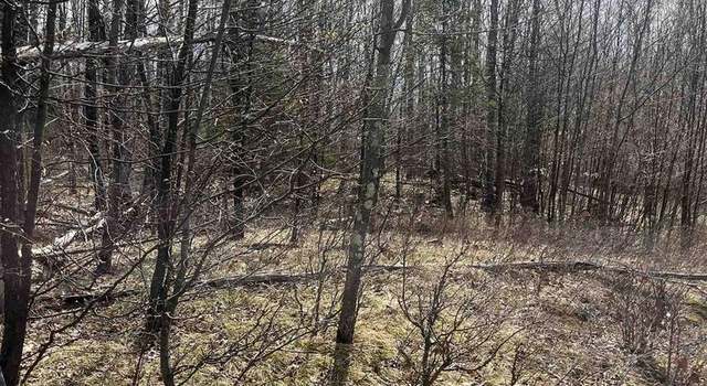 Photo of Nature Trail Rd, Townsend, WI 54175