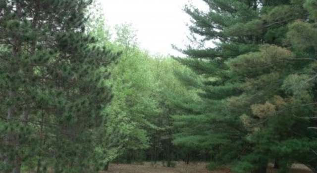 Photo of N2725 Ona Pines Rd, Weyauwega, WI 54883