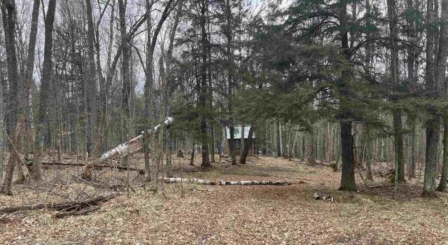 Photo of 742 Moonlight Ln, Laona, WI 54103