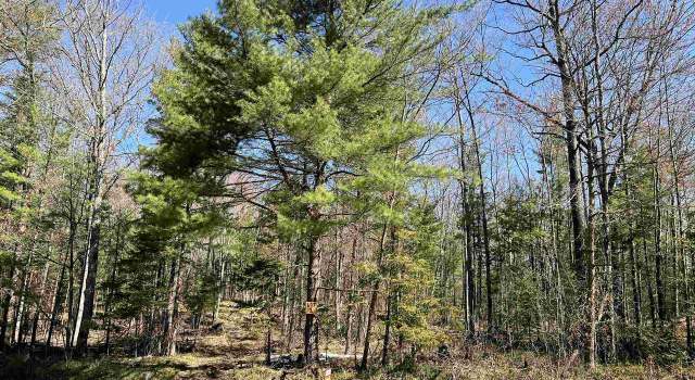 Photo of Nejedlo Rd, Wausaukee, WI 54177