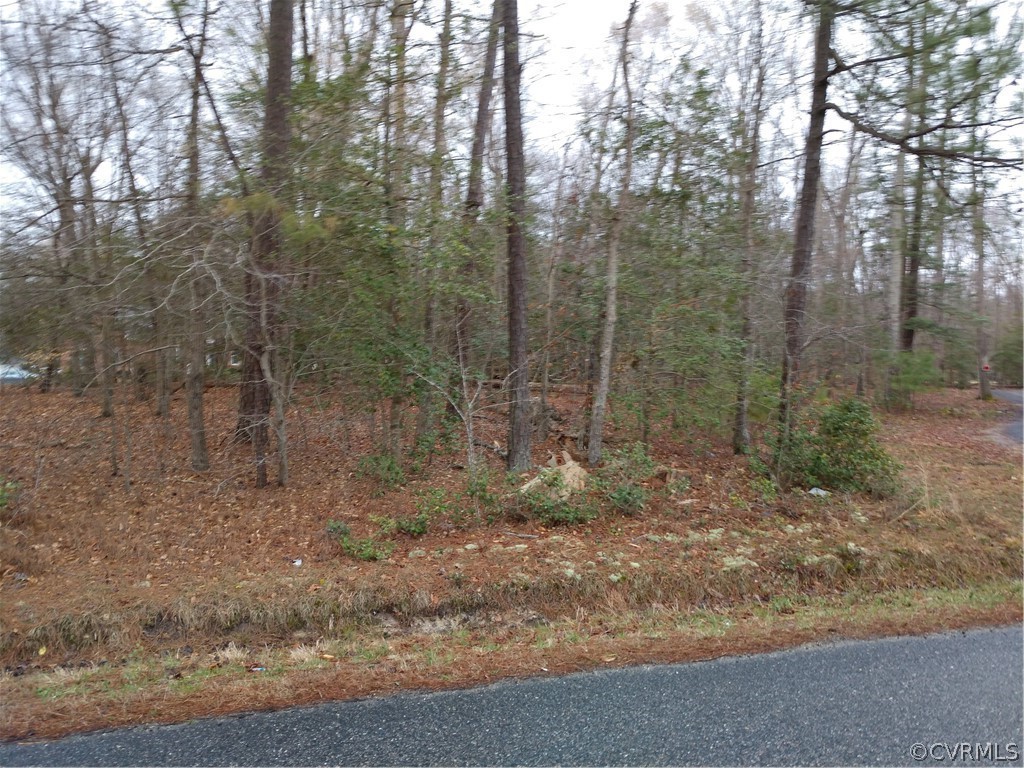 TBD Old Stage Rd, Prince VA 23875 MLS 1910039 Redfin