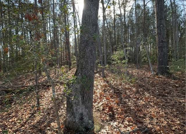 Property at Lot 3 Mill Quarter Rd, Ford, VA 23850