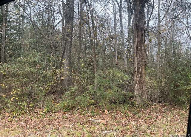 Property at TBD John Tyler Memorial Hwy, Charles City, VA 23030
