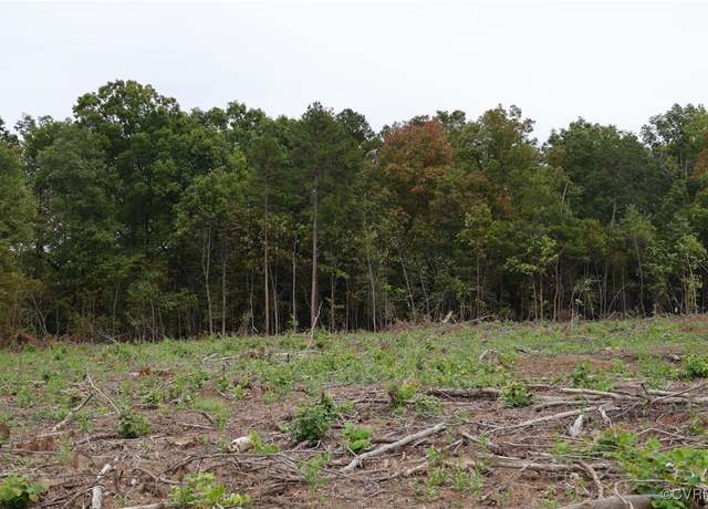 Property at 0 Diana Mill Rd, Buckingham, VA 23004