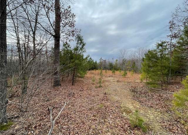 Property at 2701 Chapel Rd, New Canton, VA 23123
