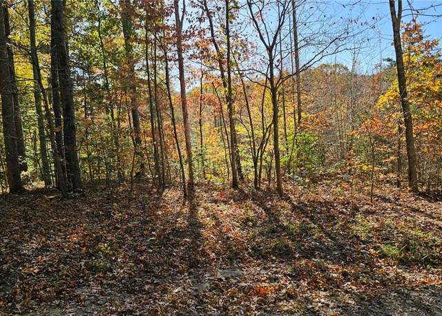 Property at 5301 Chimney Springs Dr, Goochland, VA 23063