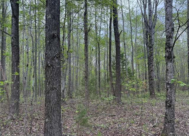 Property at 0 S Constitution Rte, Dillwyn, VA 23936