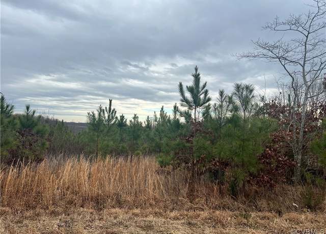 Property at 0 Yanceyville Rd, Louisa, VA 23093
