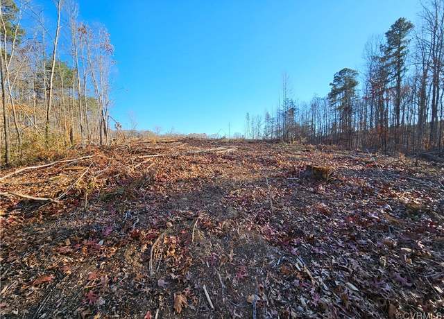 Property at TBD Shelton Store Rd, Wingina, VA 24599