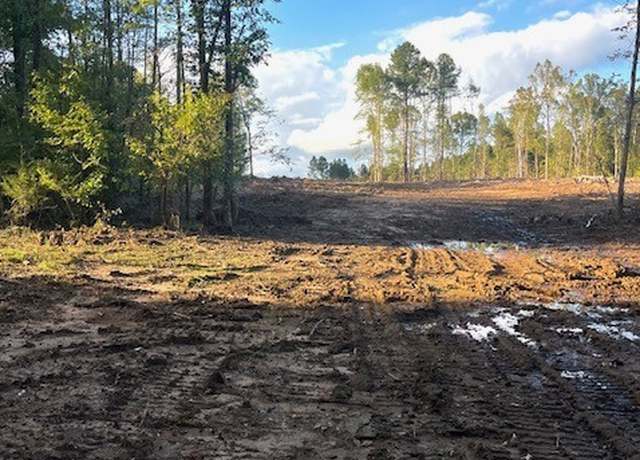 Property at Lot 12 S Namozine Rd, Amelia, VA 23002