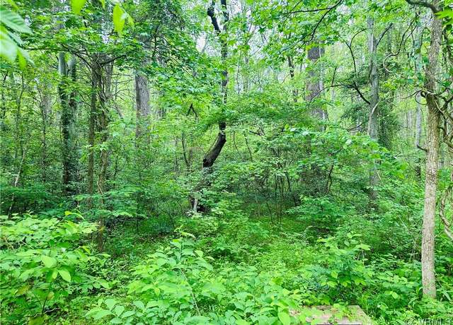 Property at 0 Pouncey Tract Rd, Hanover, VA 23146