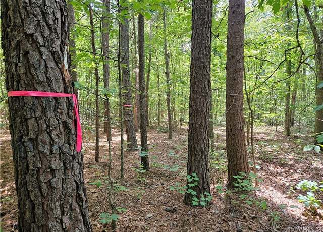 Property at 000 W James Anderson Hwy, Gladstone, VA 24553