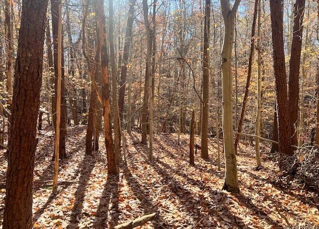 Property at 2803 River, Goochland, VA 23063