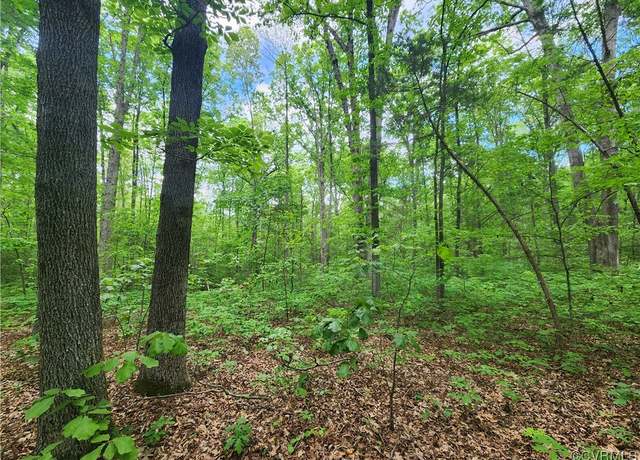 Property at 0 Robinson Rd, Goochland, VA 23063