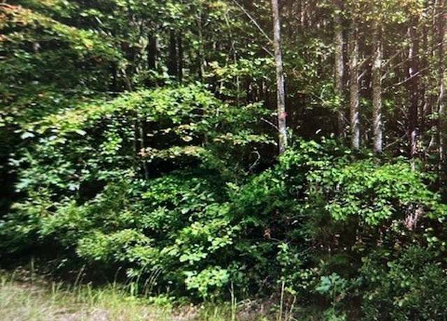 Property at 0 Dabney Rd, Little Plymouth, VA 23091