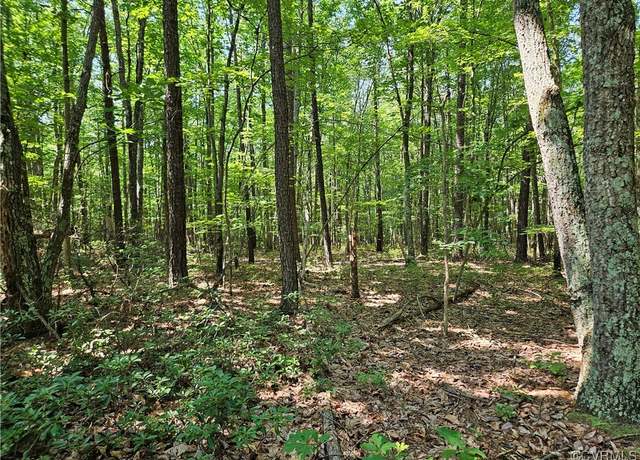 Property at 5.6 Ac Meadow Creek Rd, Wingina, VA 24599
