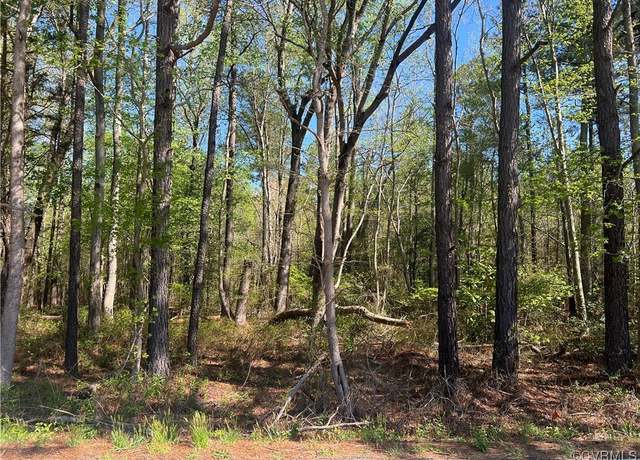 Property at 9030 River Rd, Petersburg, VA 23803