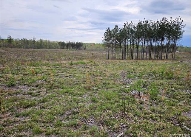 Property at 14.862 Acres Prince Edward Hwy, Rice, VA 23966
