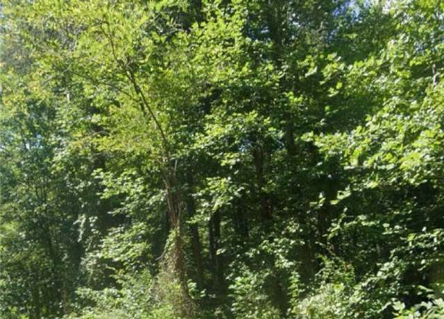 Property at 0 New Line Rd, Goochland, VA 23065