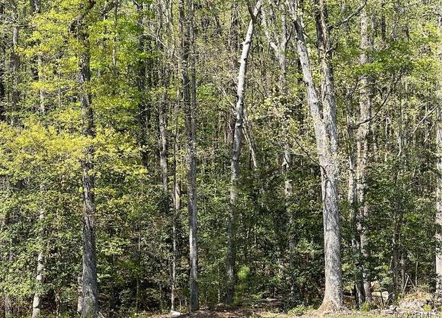 Property at 9019 Sir Britton Dr, Chesterfield, VA 23832