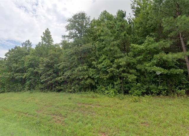 Property at 0 Boydton Plank Rd, Brodnax, VA 23920