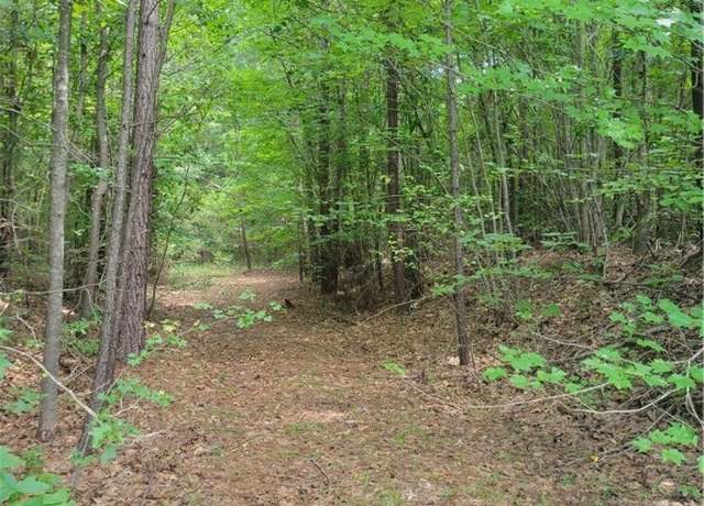 Property at 0 Boydton Plank Rd, Brodnax, VA 23920